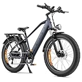 ENGWE E26 Bicicleta Eléctrica para Adultos, 26'x4.0' Fat Tire, Bicicleta de Montaña Eléctrica de 250W, Batería de 48V 16Ah, Alcance de hasta 140KM, 7 velocidades, (High-Step, Galaxia Gris)